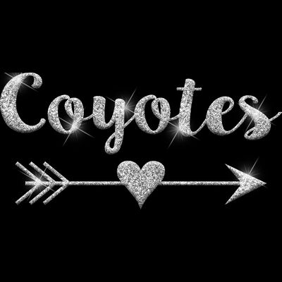 GLT46 SILVER GLITTER Thumbnail