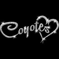 GLT6 SILVER GLITTER Thumbnail